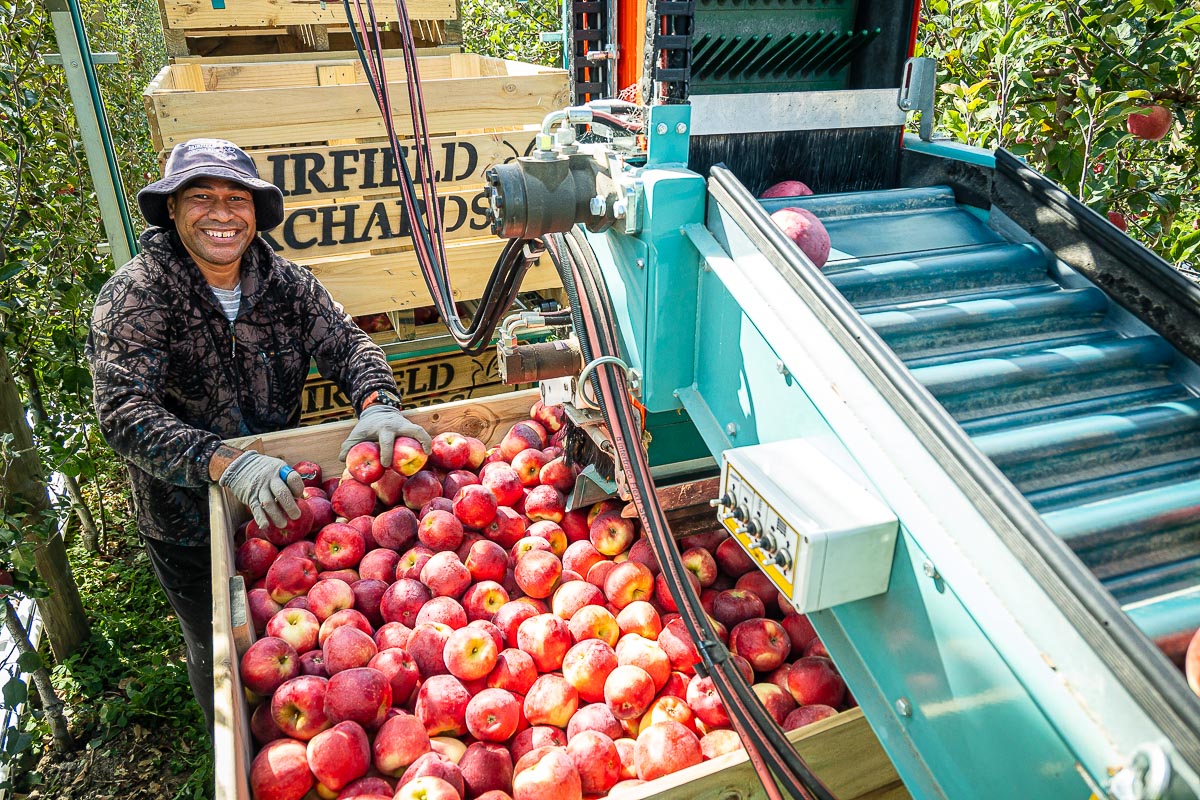 Orchard Hand Needed at Rosewood Orchards – FarmRight Ltd