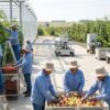 Verified List of Canadian Farms Hiring Foreign Workers