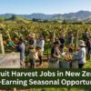 Kiwifruit Harvest Jobs in New Zealand: High-Earning Seasonal Opportunities